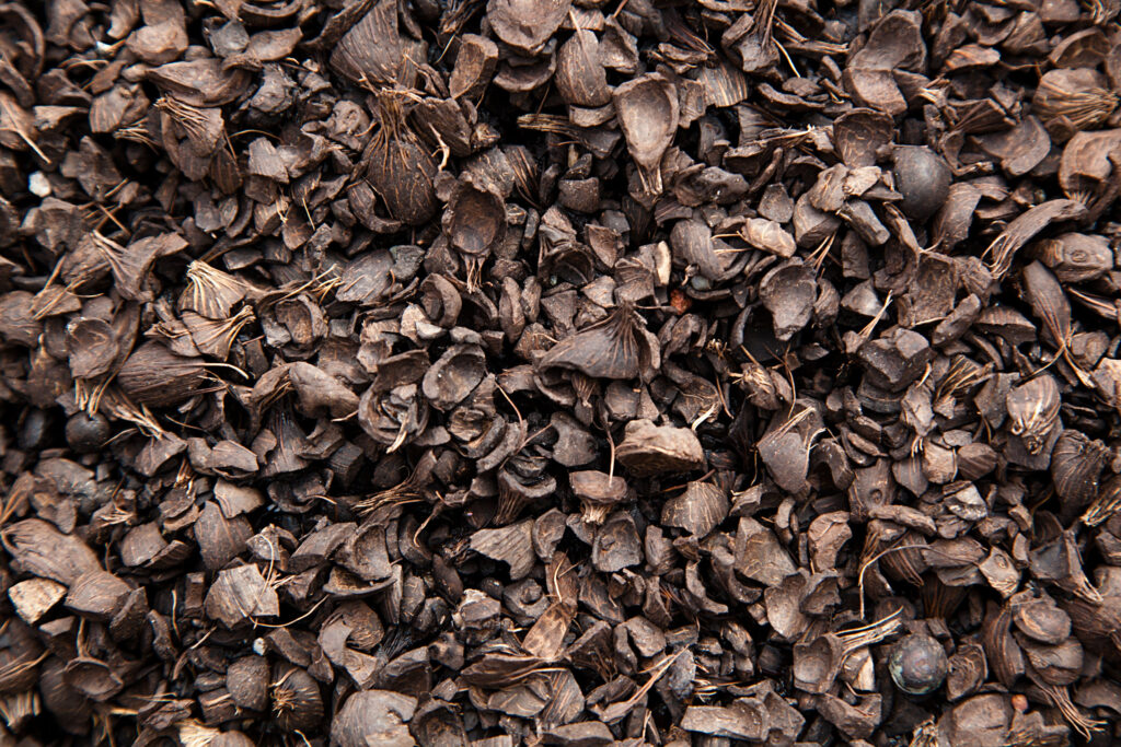 Harga Cangkang Sawit Ekspor