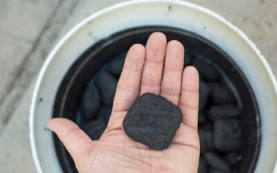 Manfaat Batok Sawit Alternatif sebagai Briket Arang yang Berkualitas