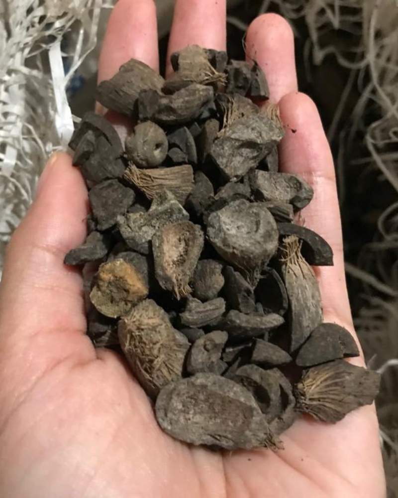 pemasok cangkang sawit