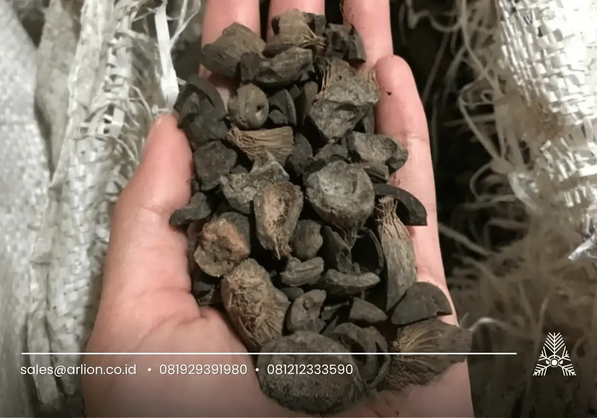 jual cangkang kelapa sawit